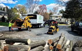 Best Fruit Tree Pruning  in Winchester, IL
