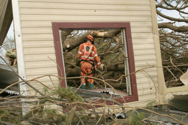 Best Leaf Removal  in Winchester, IL